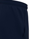 ДОЛНИЩЕ DAHLIA 